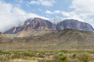 Chisos Basin 