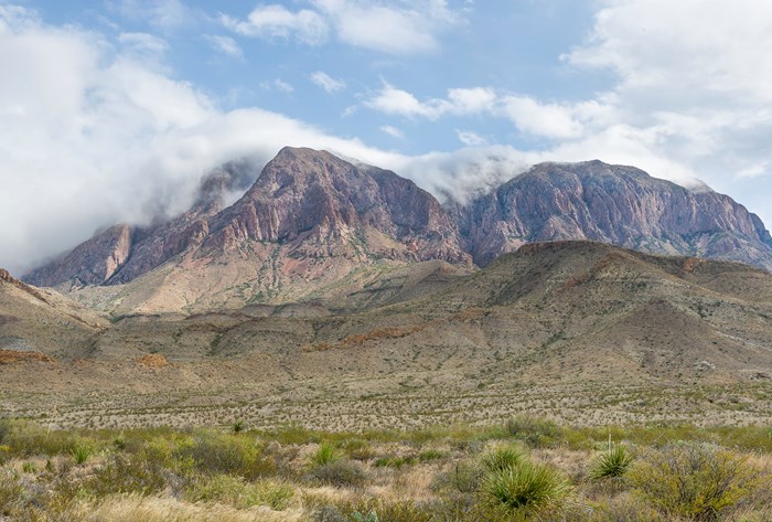 Chisos Basin 